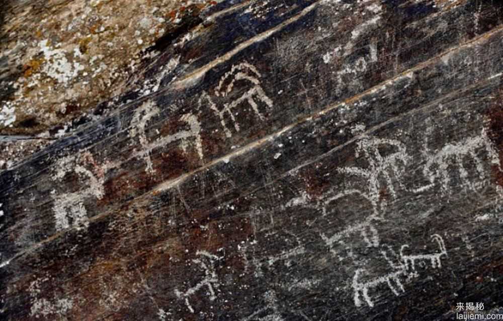 世界最古老岩画被发现 已有4万年历史737 / 作者:UFO来啦 / 帖子ID:61743