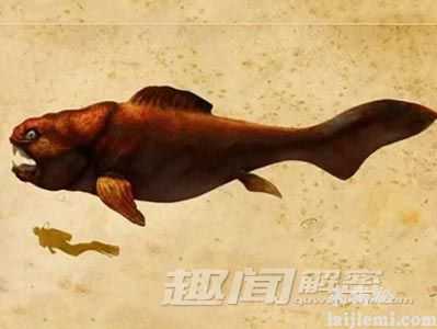 盘点：地球上最古老的六大海洋霸主！797 / 作者:UFO爱好者 / 帖子ID:66730