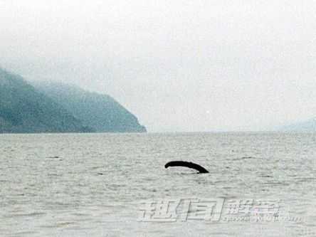 难解谜团：尼斯湖水怪竟会是恐龙？383 / 作者:UFO来啦 / 帖子ID:66078
