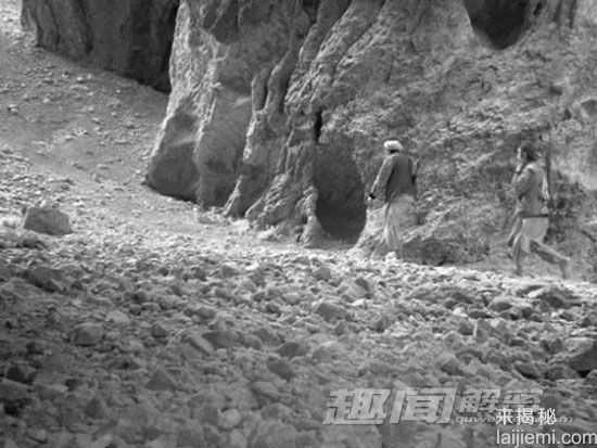 相机陷阱拍到的罕见动物976 / 作者:UFO来啦 / 帖子ID:65247