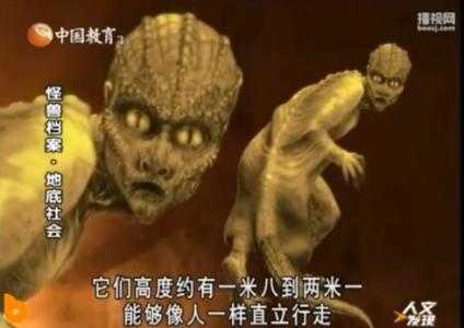 蜥蜴人之谜，蜥蜴人真实存在吗319 / 作者:UFO外星人爱好者 / 帖子ID:59902