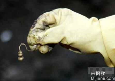 上海徐家汇地铁施工挖出古墓978 / 作者:UFO来啦 / 帖子ID:61372