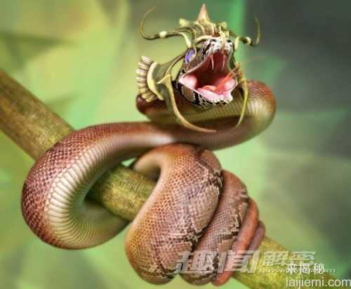 盘点世界上十大最强悍的动物288 / 作者:UFO来啦 / 帖子ID:65038