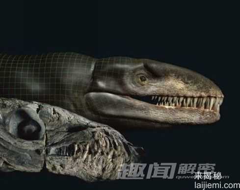 前所未闻！地球上25个奇异的史前生物397 / 作者:UFO来啦 / 帖子ID:62396