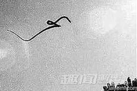 俄罗斯“神秘飞蛇”或致人死亡？974 / 作者:UFO来啦 / 帖子ID:62152