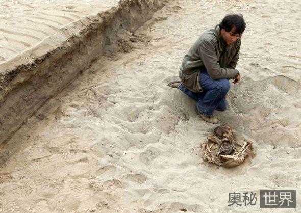 秘鲁发现800年前大量儿童骸骨377 / 作者:UFO来啦 / 帖子ID:65369