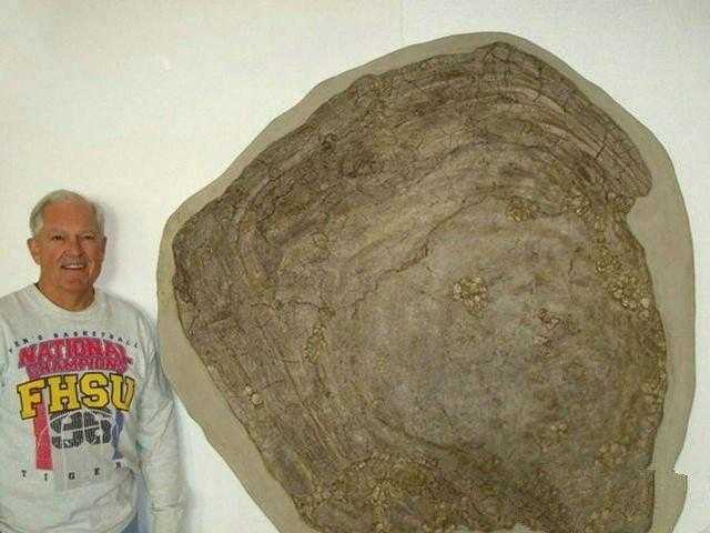 地球上10大远古超级生物, 最后一种发现于中国境内474 / 作者:UFO来啦 / 帖子ID:63064