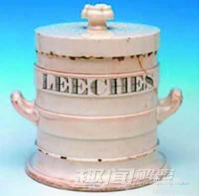 盘点十六大动物奇闻：宝石黄蜂毒倒蟑螂314 / 作者:UFO来啦 / 帖子ID:65122