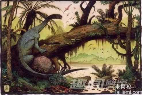 前所未闻！地球上25个奇异的史前生物_1211 / 作者:UFO来啦 / 帖子ID:62414