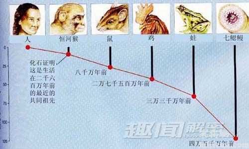 生物进化的十大奇迹 超个体现象627 / 作者:UFO来啦 / 帖子ID:64963