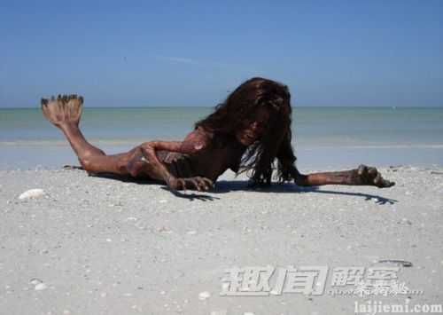 不解谜团：美人鱼难道真的存在？560 / 作者:UFO外星人爱好者 / 帖子ID:60392