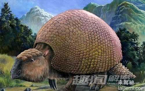 盘点十种最可能复活的灭绝动物842 / 作者:UFO来啦 / 帖子ID:65130