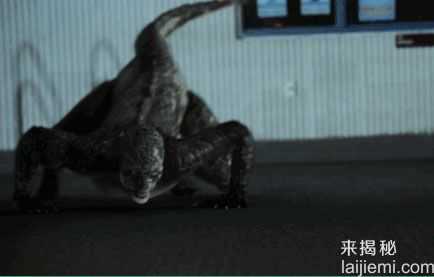 山羊吸血怪？揭世界6大神秘生物5 / 作者:UFO来啦 / 帖子ID:63616