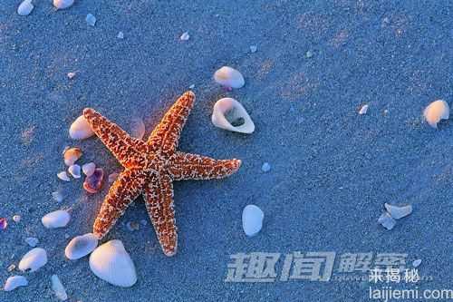 自然界中让人意想不到的十大杀手417 / 作者:UFO来啦 / 帖子ID:65596