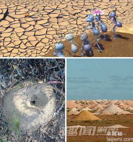 最牛的动物天气预报员 比央视还准890 / 作者:UFO来啦 / 帖子ID:64226