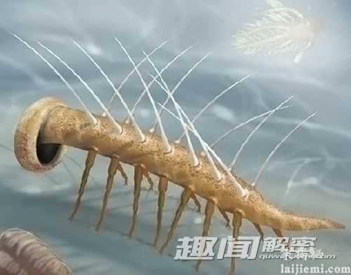 盘点：曾生活在地球上的八大“神兽”155 / 作者:UFO来啦 / 帖子ID:65233