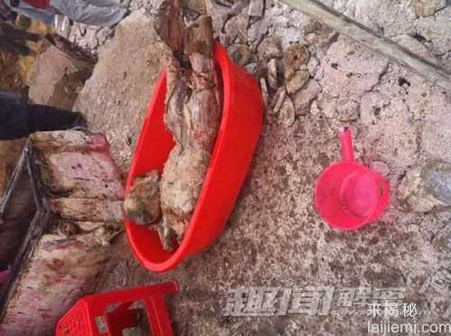 福州一小区建电梯竟挖出千年古墓(图)219 / 作者:UFO来啦 / 帖子ID:65325