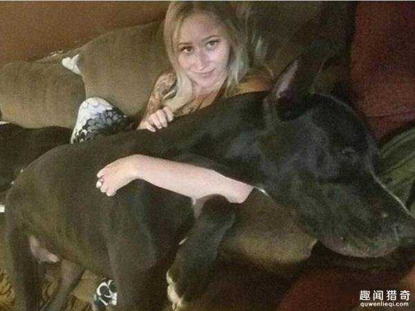 这只大丹犬身高2.1米成世界最高狗!内心却是个爱哭爱撒娇的小公举~166 / 作者:UFO爱好者 / 帖子ID:66927