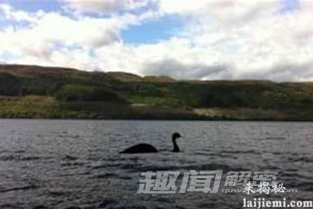 未解谜团:尼斯湖水怪只是一个骗局?676 / 作者:UFO来啦 / 帖子ID:64273 未解谜团:尼斯湖水怪只是一个骗局?676 / 作者:UFO来啦 / 帖子ID:64273