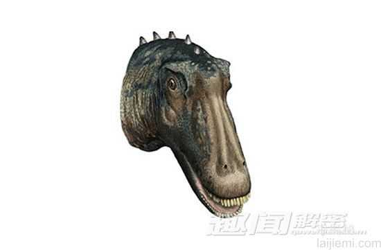 十大不可思议又真实存在的恐龙229 / 作者:UFO来啦 / 帖子ID:62353
