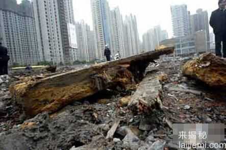 上海徐家汇地铁施工挖出古墓883 / 作者:UFO来啦 / 帖子ID:61372