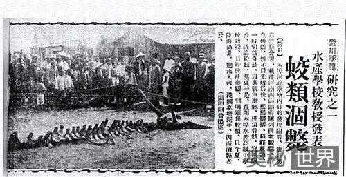 历史上是否真的有龙?1934年营口坠龙事件真相352 / 作者:UFO来啦 / 帖子ID:62551 历史上是否真的有龙?1934年营口坠龙事件真相352 / 作者:UFO来啦 / 帖子ID:62551