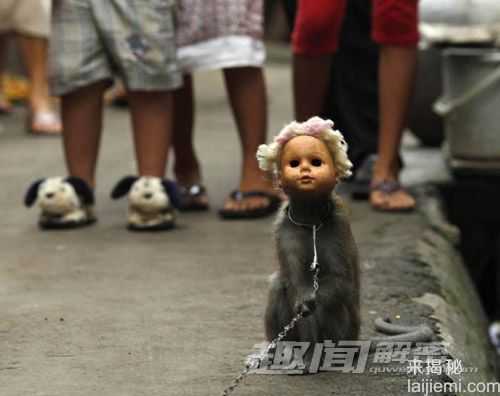幽默搞笑：镜头下动物们的奇趣瞬间369 / 作者:UFO来啦 / 帖子ID:63684