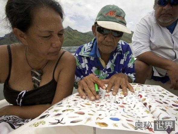 有毒的长棘海星入侵南太平洋  珊瑚礁大量死亡 岛屿生态瘫痪310 / 作者:UFO来啦 / 帖子ID:64255
