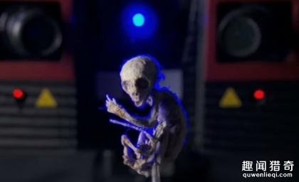 揭秘震惊世界的墨西哥外星人宝宝之谜256 / 作者:UFO来啦 / 帖子ID:64018