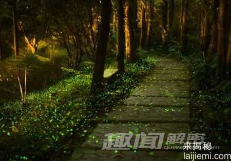盘点：动物界的十大超级“变态杀手”177 / 作者:UFO来啦 / 帖子ID:65224