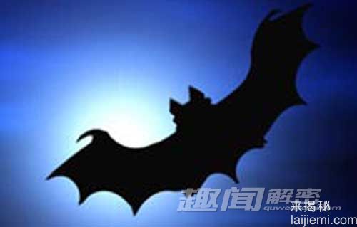 破解恐怖吸血蝙蝠 精准寻找血源的奥秘94 / 作者:UFO来啦 / 帖子ID:65278 破解恐怖吸血蝙蝠 精准寻找血源的奥秘94 / 作者:UFO来啦 / 帖子ID:65278