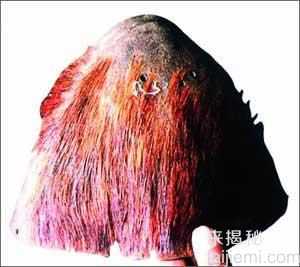 几十年未解之谜 全球怪物大搜寻（组图）103 / 作者:UFO来啦 / 帖子ID:62303