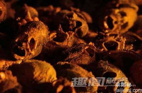 怪异！十大长得像人体器官的可怕植物151 / 作者:UFO来啦 / 帖子ID:63783