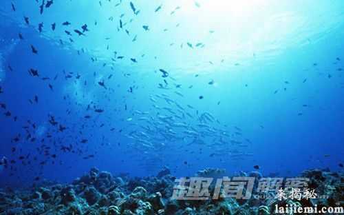 深海热泉发现特殊细菌 或外星生命类型491 / 作者:UFO来啦 / 帖子ID:60975