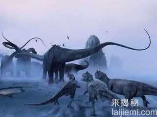 中国史前恐龙陷阱揭秘：或为大型恐龙脚印515 / 作者:UFO来啦 / 帖子ID:61849