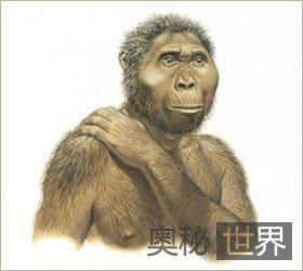 进化过程中的十大古人类种147 / 作者:UFO来啦 / 帖子ID:65909