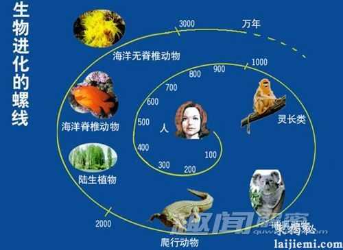 生物进化的十大奇迹 超个体现象419 / 作者:UFO来啦 / 帖子ID:64963