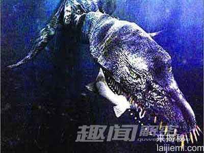 几十年未解之谜 全球怪物大搜寻（组图）134 / 作者:UFO来啦 / 帖子ID:62303