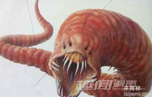 恐怖！全球十大震惊世界的神秘怪兽535 / 作者:UFO来啦 / 帖子ID:63790