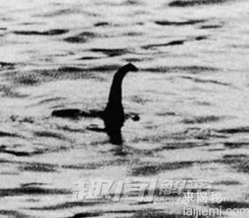 走进科学 揭秘地球上那些神秘的生物616 / 作者:UFO来啦 / 帖子ID:65853