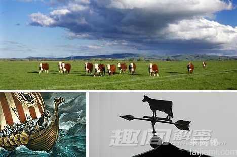 最牛的动物天气预报员 比央视还准493 / 作者:UFO来啦 / 帖子ID:64226
