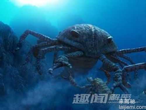 怪哉！动物性交配行为 竟源自4.3亿年前23 / 作者:UFO来啦 / 帖子ID:63778
