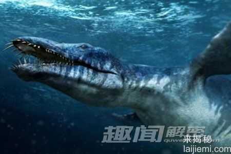 远古巨兽：10大最著名恐龙盘点465 / 作者:UFO来啦 / 帖子ID:65922