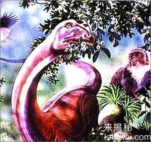 几十年未解之谜 全球怪物大搜寻（组图）264 / 作者:UFO来啦 / 帖子ID:62303
