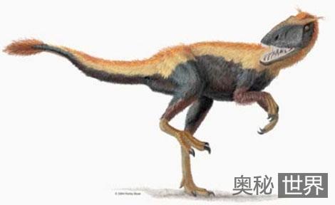 2009年发现的8大恐龙新物种553 / 作者:UFO来啦 / 帖子ID:61257