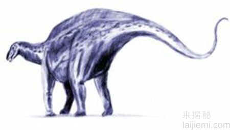 揭秘史前十种最奇特的恐龙(图)921 / 作者:UFO来啦 / 帖子ID:63968