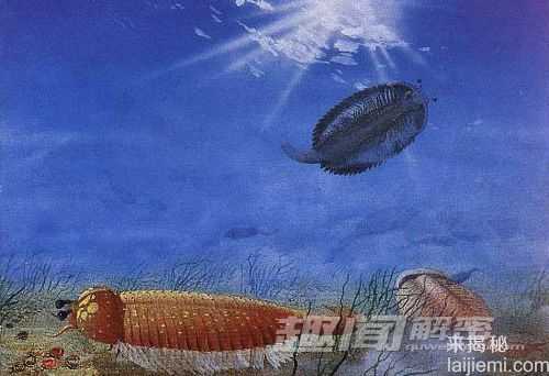 举世罕见化石宝库 证实寒武纪大爆发151 / 作者:UFO来啦 / 帖子ID:61926