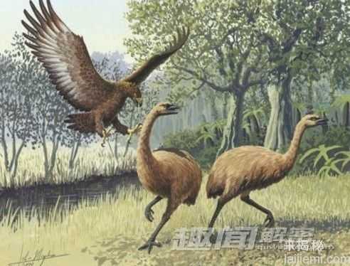 前所未闻！地球上25个奇异的史前生物_175 / 作者:UFO来啦 / 帖子ID:62414