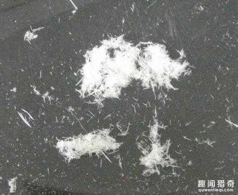 地震后地上竟出现神秘＂白毛＂，科学家也很费解！396 / 作者:UFO来啦 / 帖子ID:63259