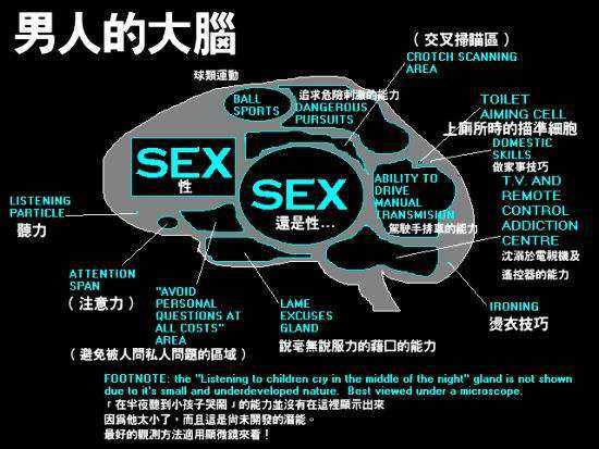 男人的大脑和女人的大脑有区别吗975 / 作者:UFO外星人爱好者 / 帖子ID:60329